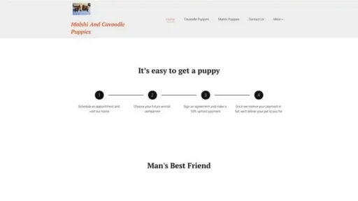 Screenshot of