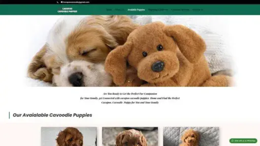 Screenshot of