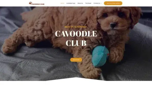 Screenshot of