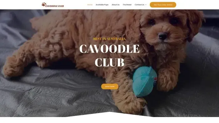 Screenshot of
