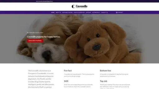 Screenshot of
