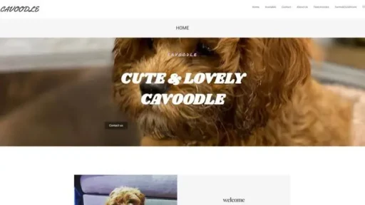 Screenshot of