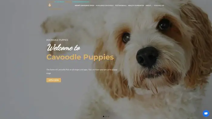 Screenshot of