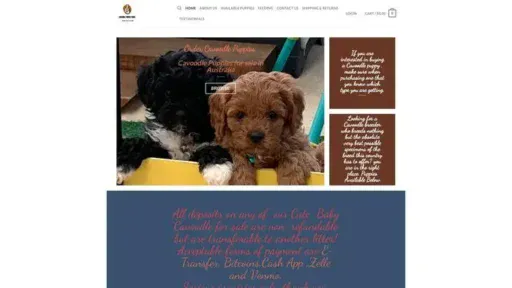 Screenshot of