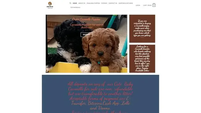 Screenshot of
