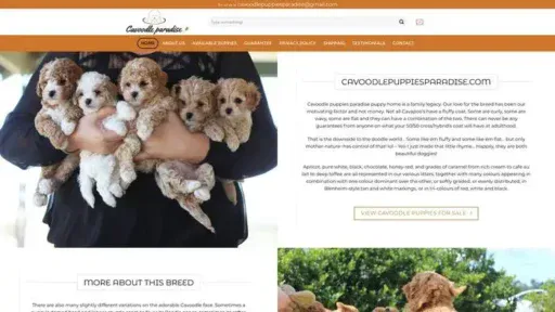 Screenshot of