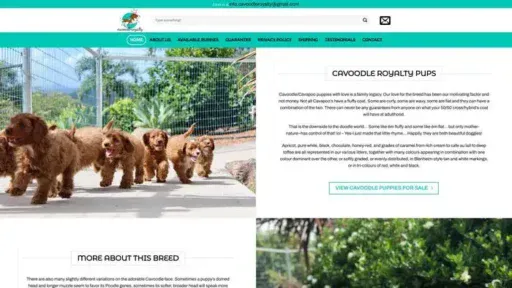 Screenshot of