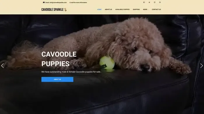 Screenshot of