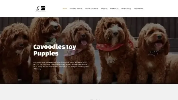 Screenshot of