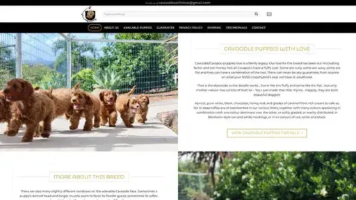 Screenshot of
