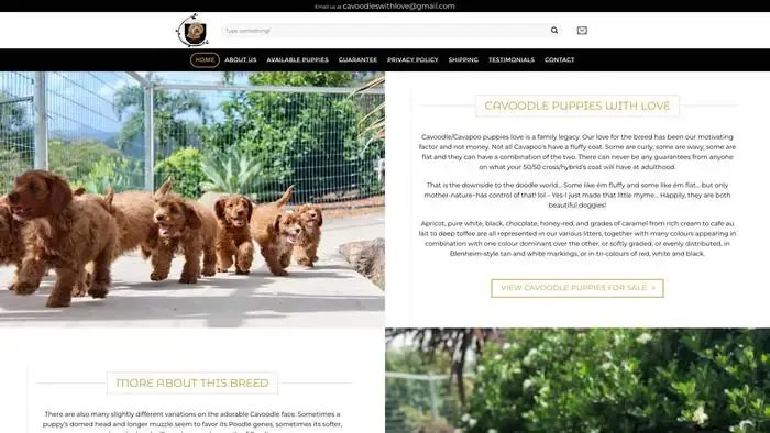 Screenshot of