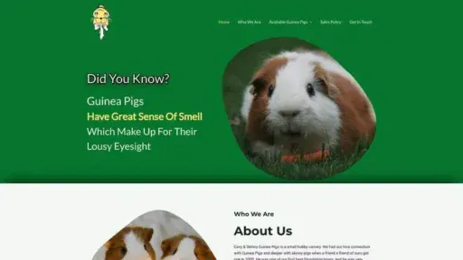 Screenshot of