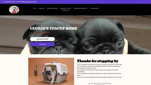 Screenshot of