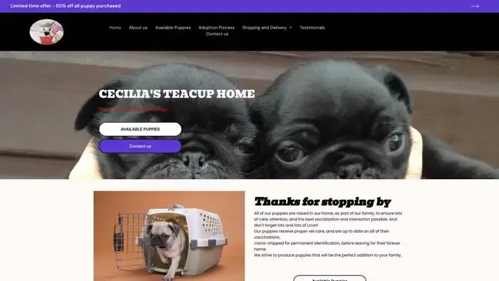 Screenshot of