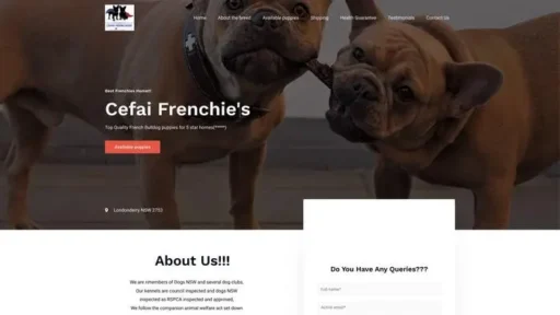 Screenshot of