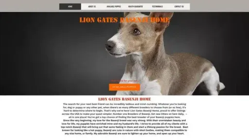 Screenshot of