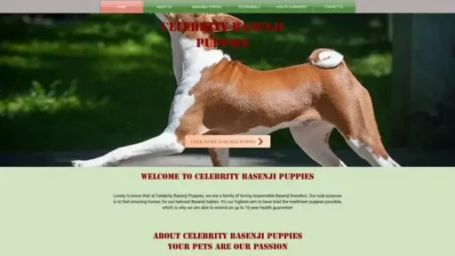 Screenshot of