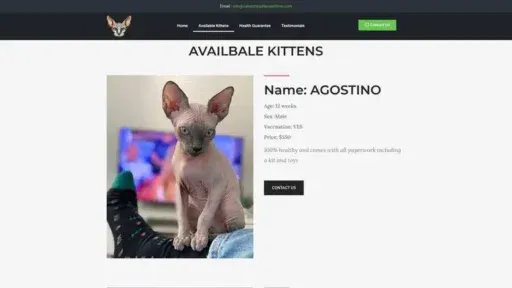 Screenshot of