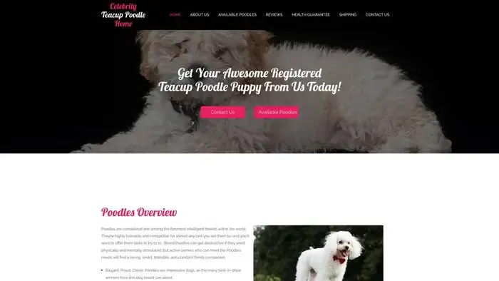 Screenshot of