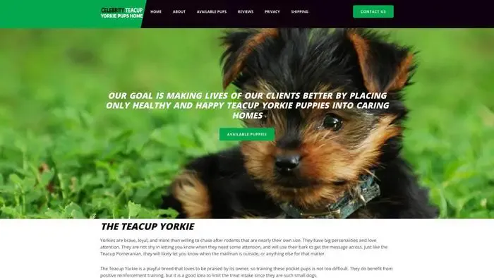 Screenshot of