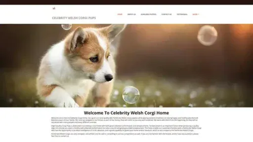 Screenshot of