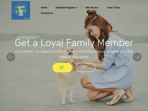Screenshot of