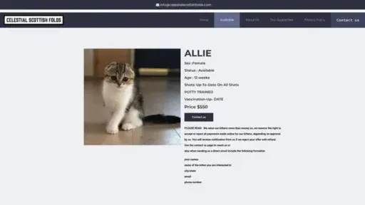 Screenshot of