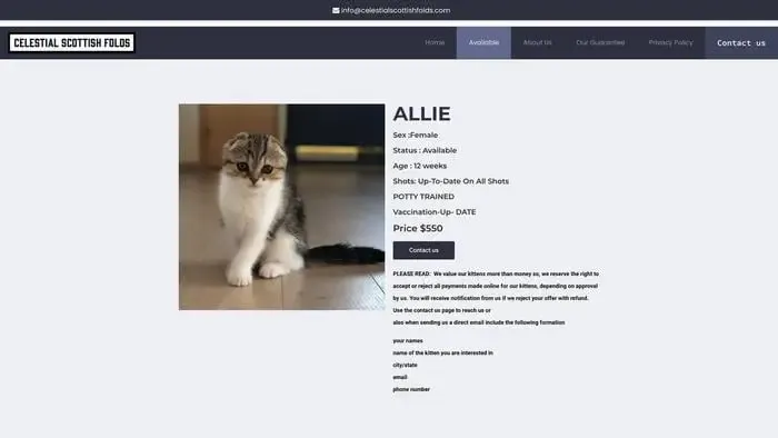 Screenshot of