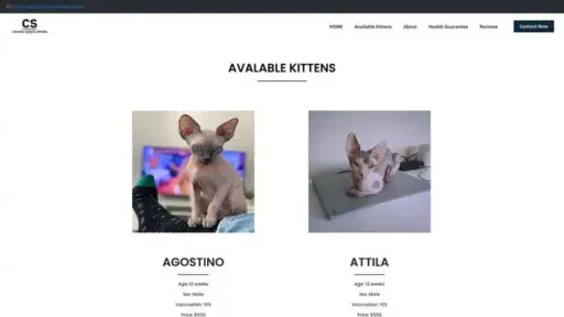 Screenshot of