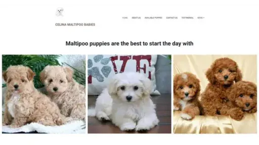 Screenshot of