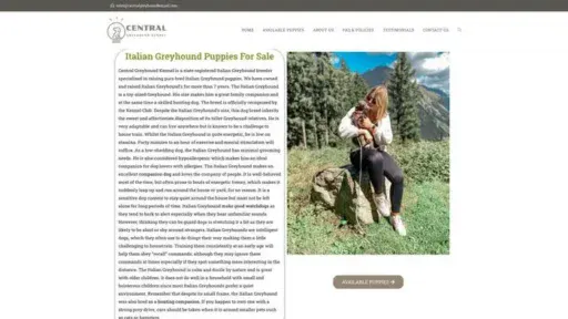 Screenshot of
