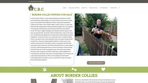 Screenshot of||