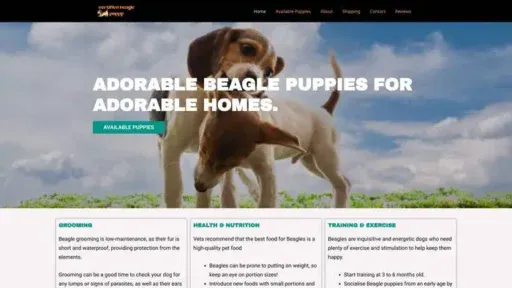 Screenshot of