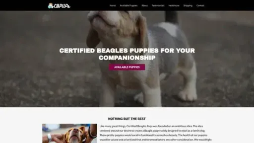 Screenshot of