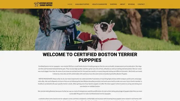Screenshot of