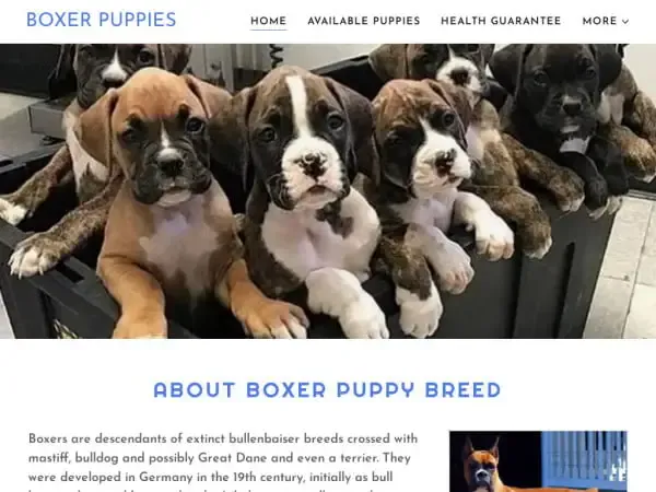 Screenshot of
