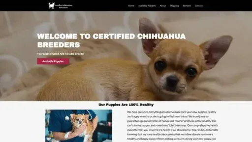Screenshot of