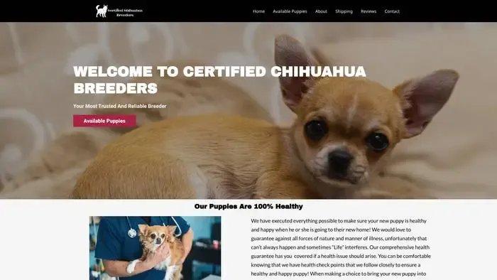 Screenshot of