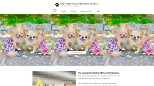 Screenshot of