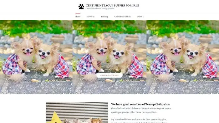 Screenshot of