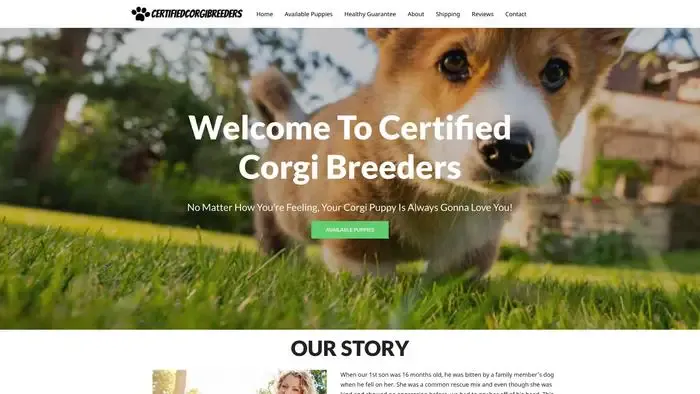 Screenshot of