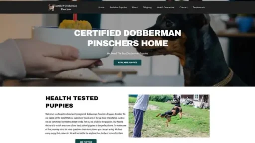 Screenshot of