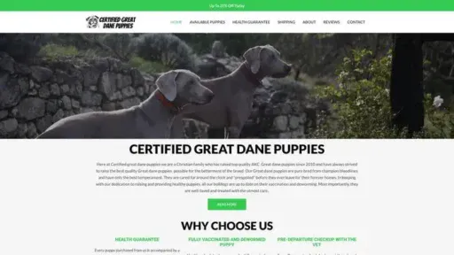 Screenshot of