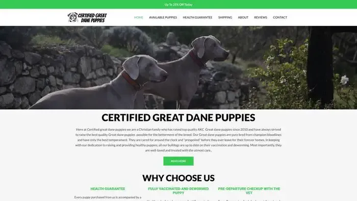 Screenshot of