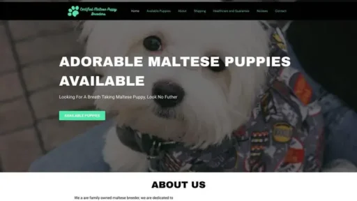 Screenshot of