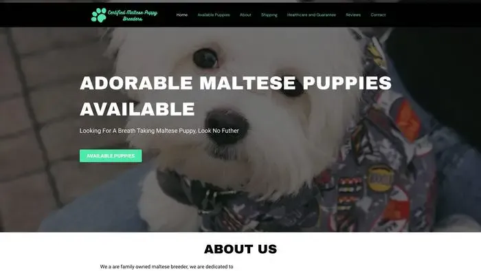 Screenshot of