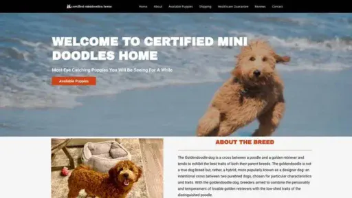 Screenshot of