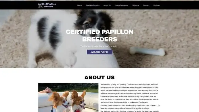 Screenshot of