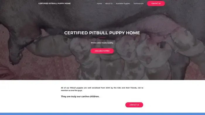 Screenshot of
