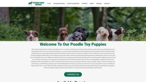 Screenshot of